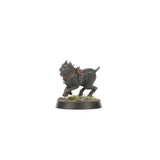 Warhammer Age of Sigmar - Spearhead: Cities of Sigmar – Fusil-Platoon