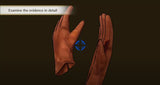 NS The Great Ace Attorney Chronicles