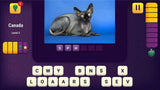 PS4 World Quiz