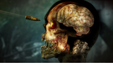 NS Zombie Army 4: Dead war
