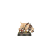 Warhammer Age of Sigmar - Spearhead: Cities of Sigmar – Fusil-Platoon