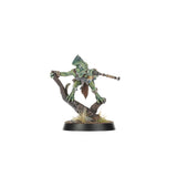 Warhammer Age of Sigmar - Spearhead: Seraphon – Sunblooded Prowlers