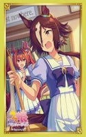 Uma Musume - Vodka Vol.3765 Card Sleeves