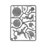 Warhammer Age of Sigmar - Spearhead: Seraphon – Sunblooded Prowlers