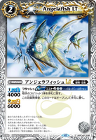 BSC42-038 C Angelafish LT