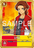 DCG-AD01-BT13-095 R-P TAMER 大門大