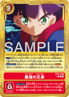 DCG-AD01-BT21-090 C-P OPTION 最強の兄弟