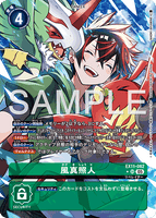 DCG-EX11-062 SR-P TAMER 風真照人