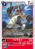 DCG-EX5-011 C LV5 パジラモン