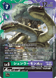 DCG-EX5-041 R LV6 シェンウーモンACE