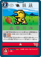 DCG-EX09-070 R OPTION 肉