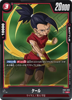 DBSFW-FB01-009 UC ケール