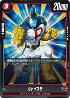 DBSFW-FB02-004 R カトペスラ