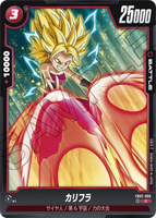 DBSFW-FB02-006 C カリフラ