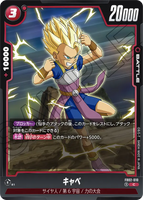DBSFW-FB02-010 C キャベ