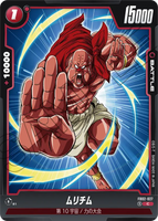 DBSFW-FB02-027 C ムリチム