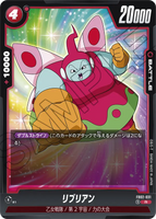 DBSFW-FB02-031 R リブリアン