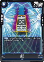 DBSFW-FB02-049 R 全王
