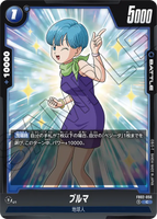 DBSFW-FB02-056 C ブルマ
