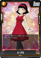 DBSFW-FB02-125 C ビーデル