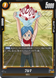 DBSFW-FB02-129 C ブルマ