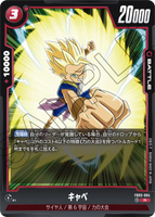 DBSFW-FB03-004 R キャベ