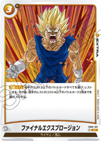 DBSFW-FB03-102 R ファイナルエクスプロージョン