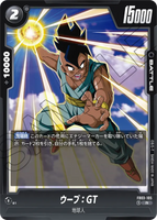 DBSFW-FB03-105 R ウーブ：GT