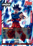 DBSFW-FB04-001 L 孫悟空
