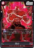 DBSFW-FB04-006 R ジレン