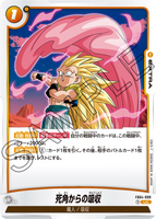 DBSFW-FB04-099 UC 死角からの吸収