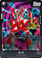 DBSFW-FB04-115 C ネージ