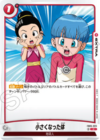 DBSFW-FB05-023 C 小さくなった体