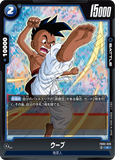 DBSFW-FB05-026 C ウーブ