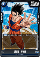 DBSFW-FB05-033 R 孫悟飯：青年期