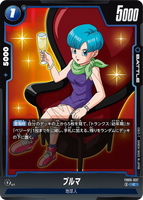 DBSFW-FB05-037 C ブルマ