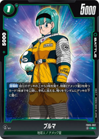 DBSFW-FB05-062 R ブルマ