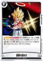 DBSFW-FB05-115 R 極限の煌めき