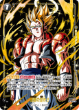 DBSFW-FB05-115 R★ 極限の煌めき