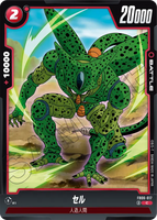 DBSFW-FB06-017 C セル