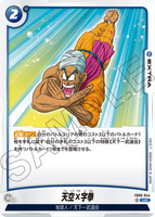 DBSFW-FB06-044 UC 天空×字拳