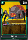 DBSFW-FB06-049 C 大ダニ：BR