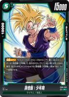 DBSFW-FB06-052 R 孫悟飯：少年期