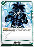 DBSFW-FB06-070 C 暴走の制御