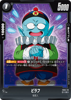 DBSFW-FB06-110 C ピラフ