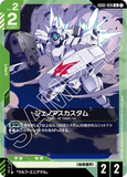 GCG-GD02-026 U Genoace Custom