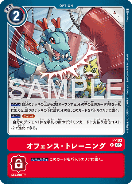 DCG-AD01-P-103 P OPTION オフェンス・トレーニング