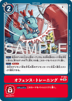 DCG-AD01-P-103 P OPTION オフェンス・トレーニング