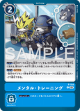 DCG-AD01-P-104 P OPTION メンタル・トレーニング