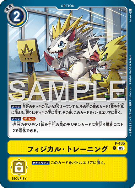 DCG-AD01-P-105 P OPTION フィジカル・トレーニング